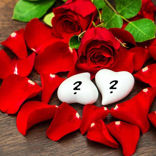 Beautiful rose petals and hearts love alphabet name dp images