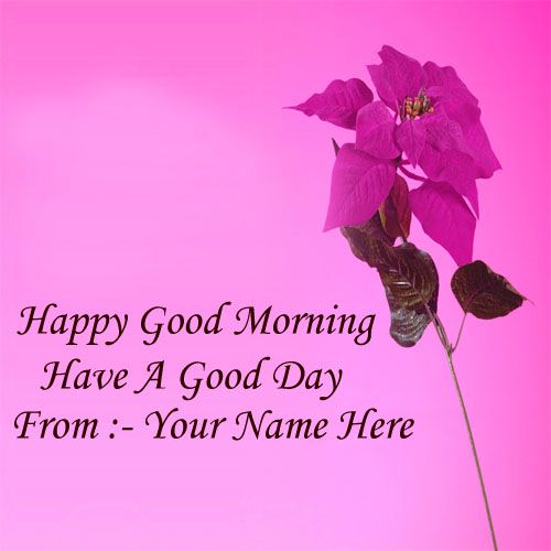 Good Morning Wishes Beautiful Rose Image With Name Create Card