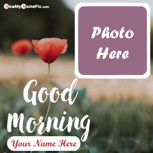 Latest good morning wishes photo with name creator online free