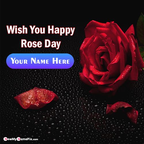 Write Name On Happy Rose Day Photo Maker Online Free