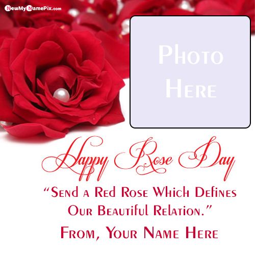 Custom Photo Frame Happy Rose Day Wishes Free Tools