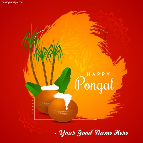 Happy Pongal Wishes WhatsApp Status Sending Online
