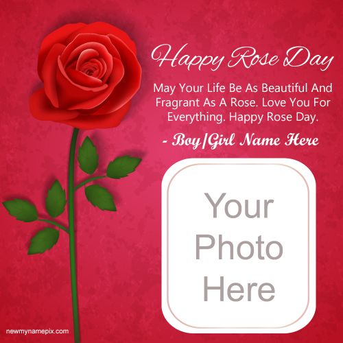 Happy Rose Day Photo Wishes Quotes Messages Cards