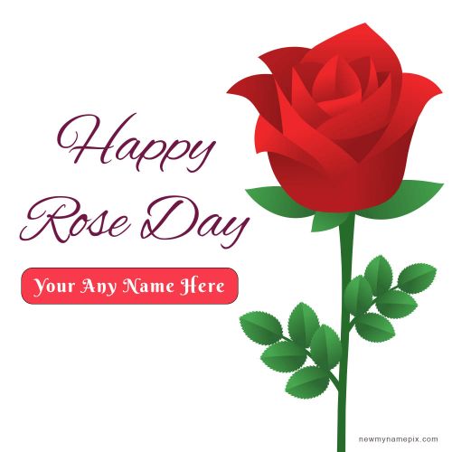Beautiful Red Rose Day Wishes With Name Pictures Create Customize
