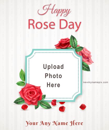 Rose Day Wishes With Name & Photo Card Create Free